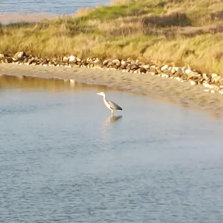 Nostress-villa 6 Pers By Interhome Feriehus