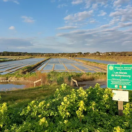 Ferienhaus Nostress-villa 6 Pers By Interhome